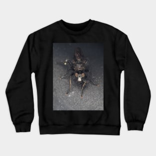 Robber fly (Asilidae) with prey Crewneck Sweatshirt